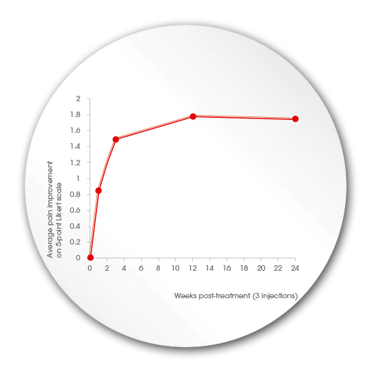 stats synolis va